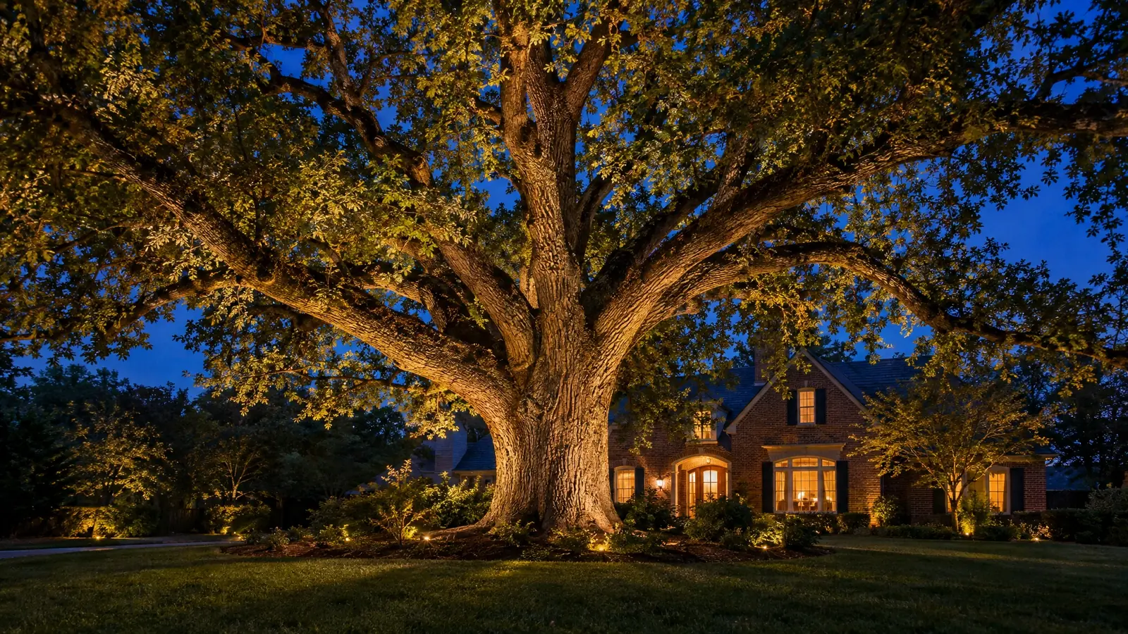 Illuminated property at night